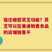 宿迁破壁灵芝功能？灵芝可以在普通销售食品的店铺销售不