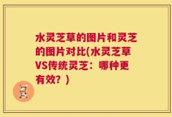 水灵芝草的图片和灵芝的图片对比(水灵芝草VS传统灵芝：哪种更有效？)