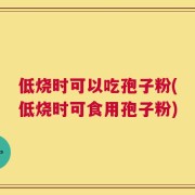 低烧时可以吃孢子粉(低烧时可食用孢子粉)