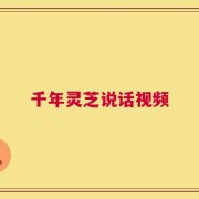 千年灵芝说话视频