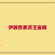 伊颜熙黑灵芝面膜
