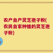 农户自产灵芝孢子粉(农民自家种植的灵芝孢子粉)