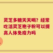 灵芝多糖天天喝？经常吃活灵芝袍子粉可以提高人体免疫力吗