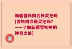 新疆雪衫树会长灵芝吗(雪衫树会是灵芝吗？——了解新疆雪衫树的神奇之处)