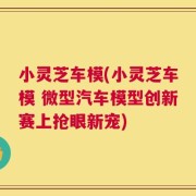 小灵芝车模(小灵芝车模 微型汽车模型创新赛上抢眼新宠)