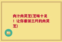 肉汁肉灵芝(芝味十足！让你垂涎三尺的肉灵芝)