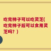 吃完柿子可以吃灵芝(吃完柿子后可以食用灵芝吗？)