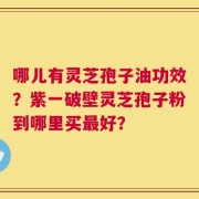 哪儿有灵芝孢子油功效？紫一破壁灵芝孢子粉到哪里买最好？