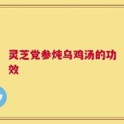 灵芝党参炖乌鸡汤的功效