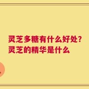灵芝多糖有什么好处？灵芝的精华是什么