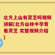 北方上山有灵芝吗视频讲解(北方山林中孕育着灵芝 完整视频介绍)