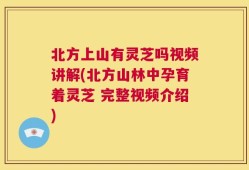 北方上山有灵芝吗视频讲解(北方山林中孕育着灵芝 完整视频介绍)