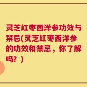 灵芝红枣西洋参功效与禁忌(灵芝红枣西洋参的功效和禁忌，你了解吗？)