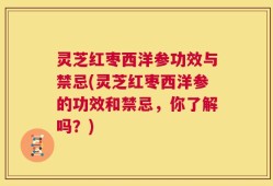 灵芝红枣西洋参功效与禁忌(灵芝红枣西洋参的功效和禁忌，你了解吗？)