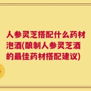 人参灵芝搭配什么药材泡酒(酿制人参灵芝酒的最佳药材搭配建议)