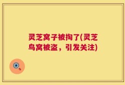 灵芝窝子被掏了(灵芝鸟窝被盗，引发关注)