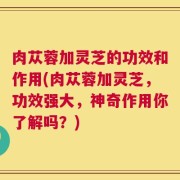 肉苁蓉加灵芝的功效和作用(肉苁蓉加灵芝，功效强大，神奇作用你了解吗？)