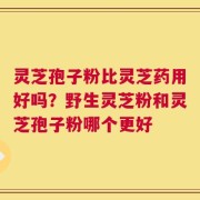 灵芝孢子粉比灵芝药用好吗？野生灵芝粉和灵芝孢子粉哪个更好