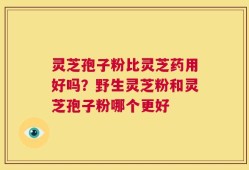 灵芝孢子粉比灵芝药用好吗？野生灵芝粉和灵芝孢子粉哪个更好