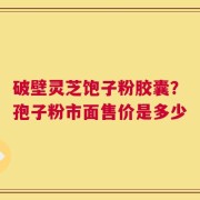 破壁灵芝饱子粉胶囊？孢子粉市面售价是多少