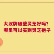 大汉牌破壁灵芝好吗？哪里可以买到灵芝孢子