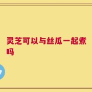灵芝可以与丝瓜一起煮吗