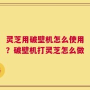 灵芝用破壁机怎么使用？破壁机打灵芝怎么做
