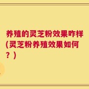 养殖的灵芝粉效果咋样(灵芝粉养殖效果如何？)