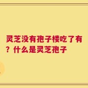 灵芝没有孢子楼吃了有？什么是灵芝孢子