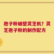 孢子粉破壁灵芝机？灵芝孢子粉的制作配方