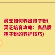 灵芝如何养出孢子粉(灵芝培育攻略：高品质孢子粉的养护技巧)