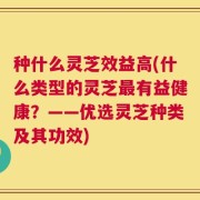 种什么灵芝效益高(什么类型的灵芝最有益健康？——优选灵芝种类及其功效)