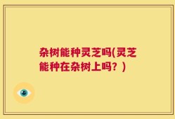 杂树能种灵芝吗(灵芝能种在杂树上吗？)