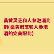 桑黄灵芝和人参泡酒比例(桑黄灵芝和人参泡酒的完美配比)