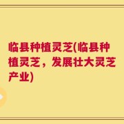 临县种植灵芝(临县种植灵芝，发展壮大灵芝产业)