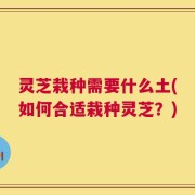 灵芝栽种需要什么土(如何合适栽种灵芝？)