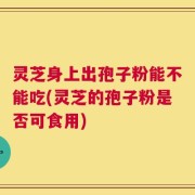 灵芝身上出孢子粉能不能吃(灵芝的孢子粉是否可食用)