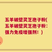 五羊破壁灵芝孢子粉(五羊破壁灵芝孢子粉：强力免疫增强剂！)