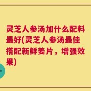 灵芝人参汤加什么配料最好(灵芝人参汤最佳搭配新鲜姜片，增强效果)