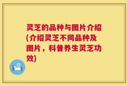 灵芝的品种与图片介绍(介绍灵芝不同品种及图片，科普养生灵芝功效)