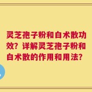 灵芝孢子粉和白术散功效？详解灵芝孢子粉和白术散的作用和用法？