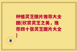 种植灵芝图片推荐大全图(欣赏灵芝之美，推荐四十张灵芝图片大全)