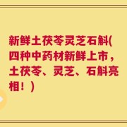 新鲜土茯苓灵芝石斛(四种中药材新鲜上市，土茯苓、灵芝、石斛亮相！)