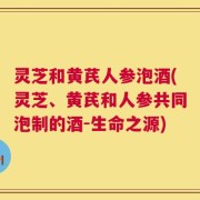 灵芝和黄芪人参泡酒(灵芝、黄芪和人参共同泡制的酒-生命之源)