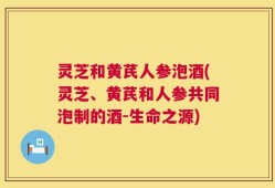 灵芝和黄芪人参泡酒(灵芝、黄芪和人参共同泡制的酒-生命之源)