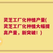 灵芝工厂化种植产量(灵芝工厂化种植大幅提高产量，新突破！)