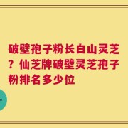 破壁孢子粉长白山灵芝？仙芝牌破壁灵芝孢子粉排名多少位