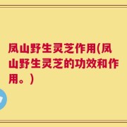 凤山野生灵芝作用(凤山野生灵芝的功效和作用。)