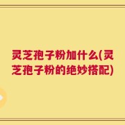 灵芝孢子粉加什么(灵芝孢子粉的绝妙搭配)