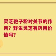 灵芝孢子粉对关节的作用？野生灵芝有药用价值吗？